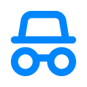 incognito icon